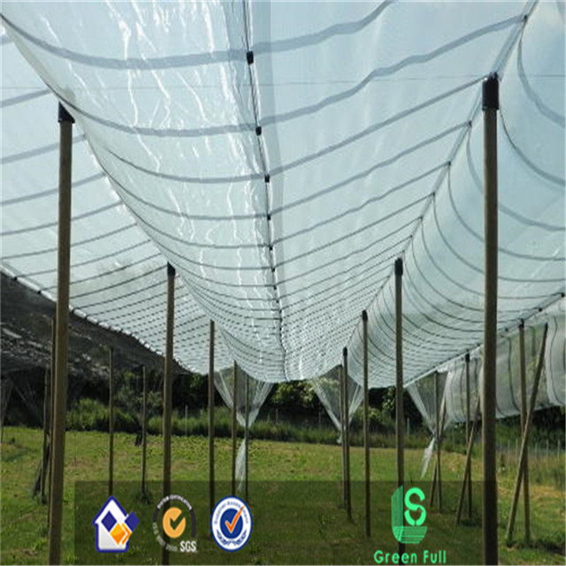   UV treated hdpe anti hail net