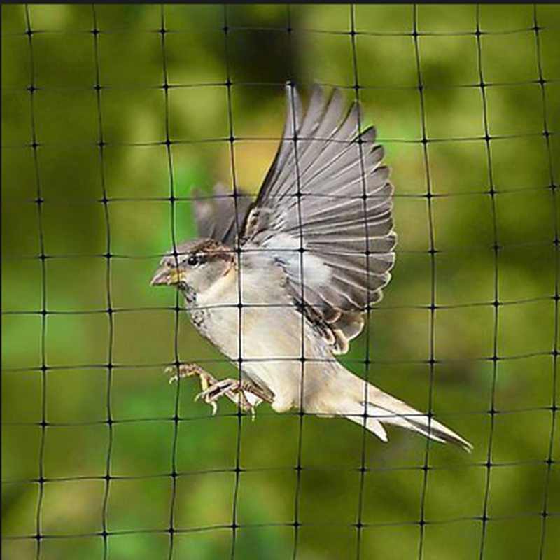BOP extruded Anti Bird Net