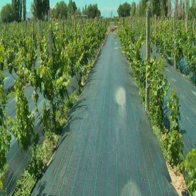 PP or PE Ground Cover Agricultural Weed Mat