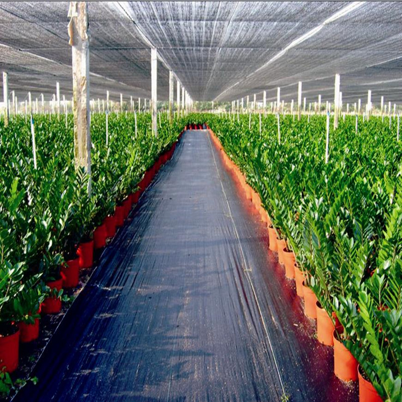 PP or PE Ground Cover Agricultural Weed Mat